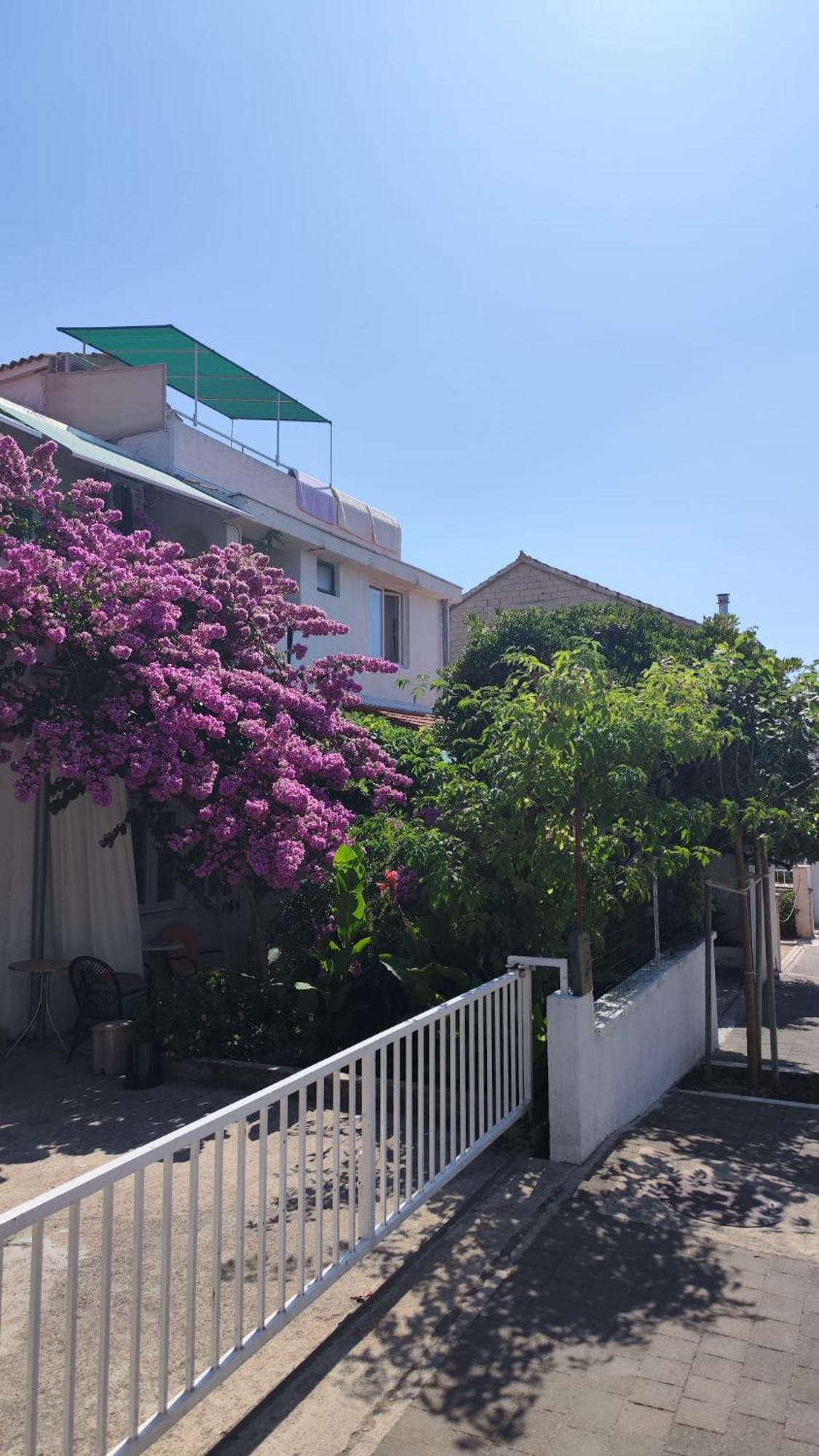 Apartments Suri Vodice Exterior photo
